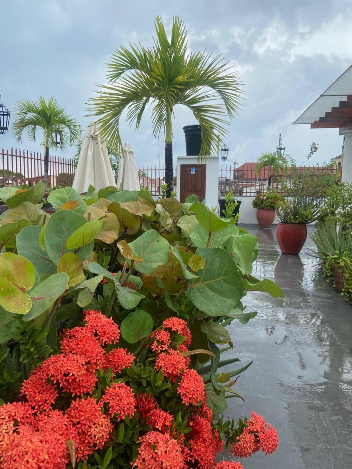 Patio De Getsemani Hotel Cartagena Luaran gambar